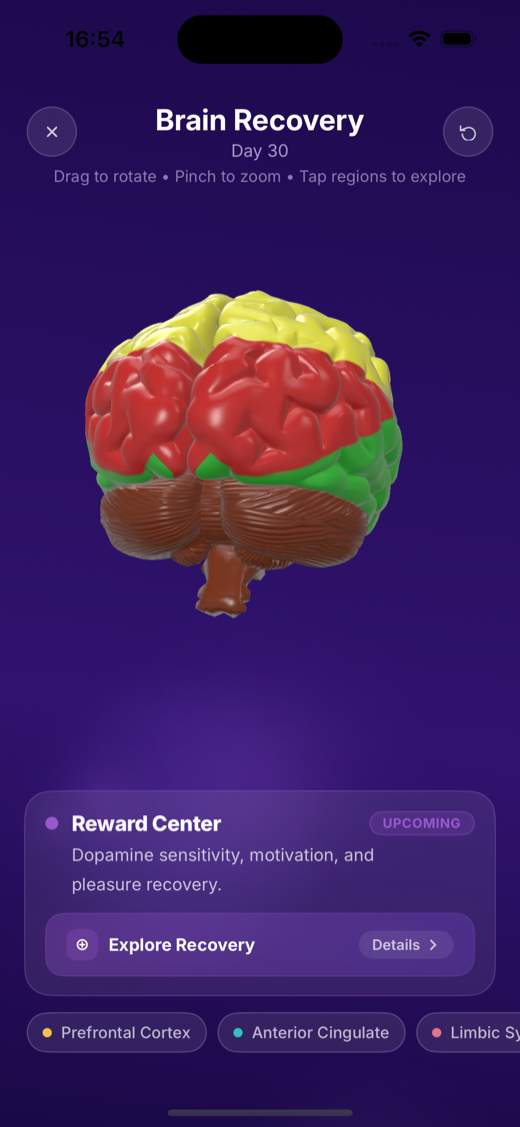 MyQuitPal Brain Recovery screen showing the expanded 3D brain with healing regions.
